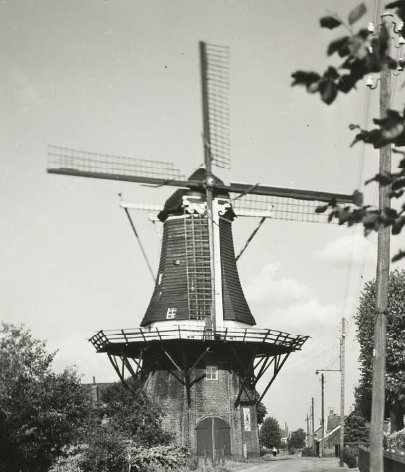 Uitsnede van een ansichtkaart van molen Bulder in Westerlee aan de Molenlaan.